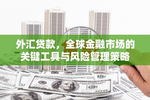 中阳外汇贷款，全球金融市场的关键工具与风险管理策略
