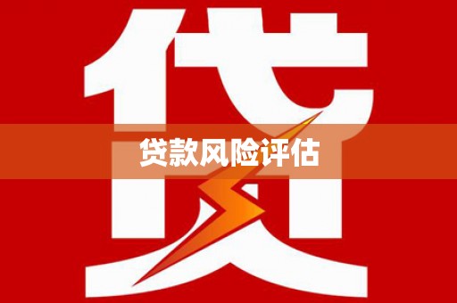中阳贷款风险评估