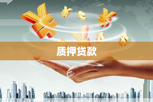 中阳质押贷款