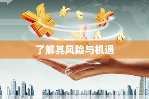 中阳了解其风险与机遇