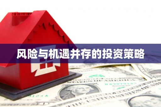 中阳风险与机遇并存的投资策略