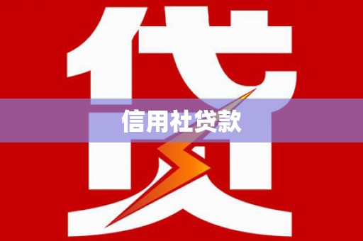 中阳信用社贷款