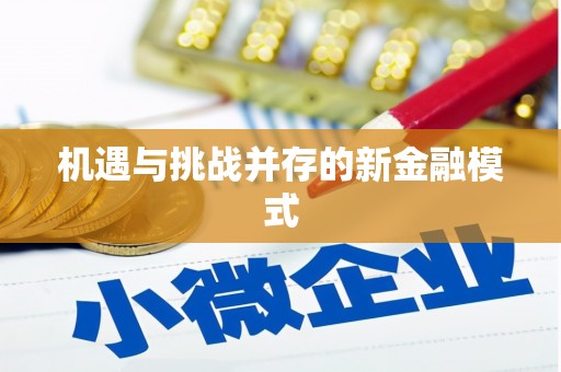 中阳机遇与挑战并存的新金融模式
