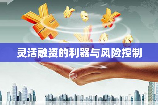 中阳灵活融资的利器与风险控制