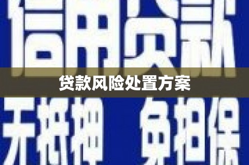 中阳贷款风险处置方案