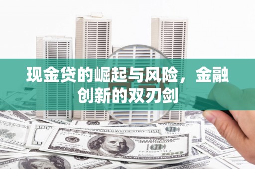 中阳现金贷的崛起与风险，金融创新的双刃剑