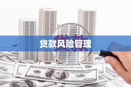 中阳贷款风险管理