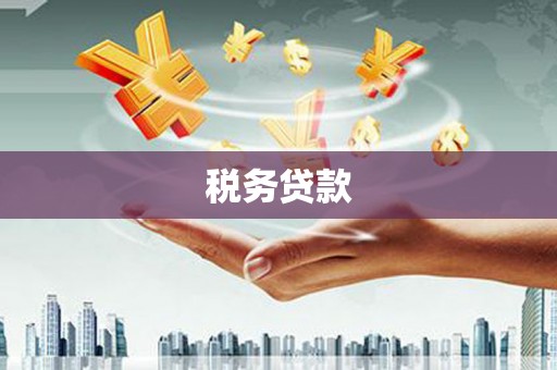 中阳税务贷款