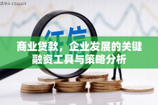 中阳商业贷款，企业发展的关键融资工具与策略分析