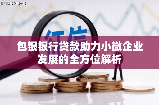中阳包银银行贷款助力小微企业发展的全方位解析