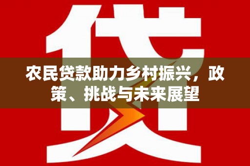 中阳农民贷款助力乡村振兴，政策、挑战与未来展望