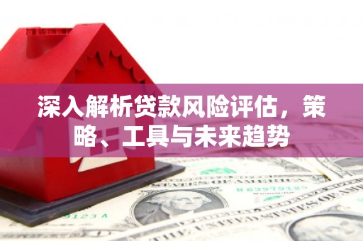 中阳深入解析贷款风险评估，策略、工具与未来趋势