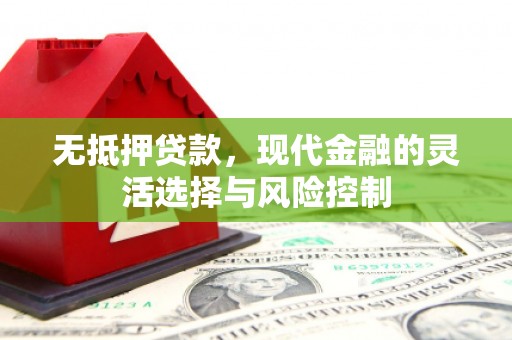 中阳无抵押贷款，现代金融的灵活选择与风险控制