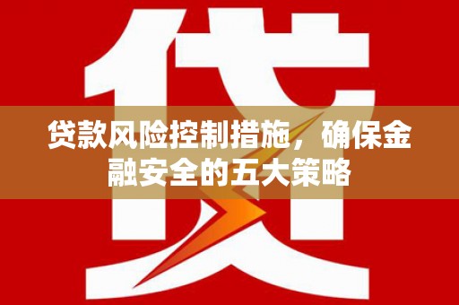 中阳贷款风险控制措施，确保金融安全的五大策略