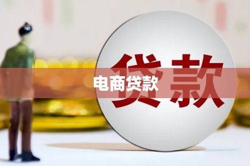 中阳电商贷款