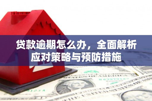 中阳贷款逾期怎么办，全面解析应对策略与预防措施