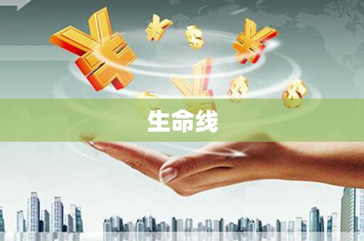 中阳生命线