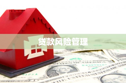 中阳贷款风险管理