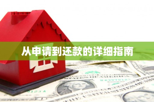 中阳从申请到还款的详细指南