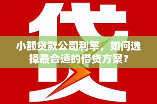 中阳小额贷款公司利率，如何选择最合适的借贷方案？