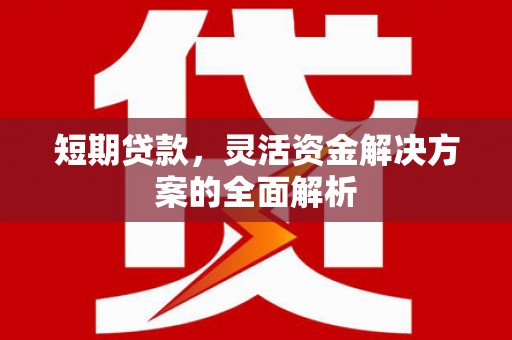 中阳短期贷款，灵活资金解决方案的全面解析