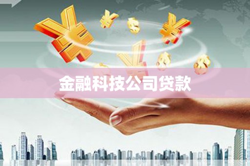 中阳金融科技公司贷款