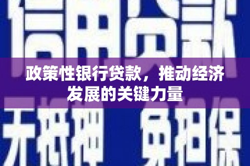 中阳政策性银行贷款，推动经济发展的关键力量