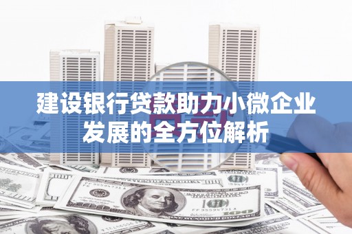 中阳建设银行贷款助力小微企业发展的全方位解析