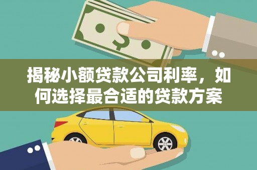 中阳揭秘小额贷款公司利率，如何选择最合适的贷款方案