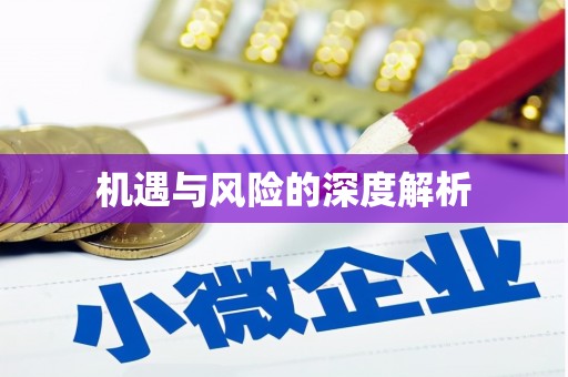 中阳机遇与风险的深度解析