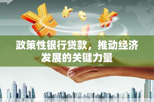 中阳政策性银行贷款，推动经济发展的关键力量