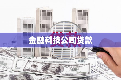 中阳金融科技公司贷款