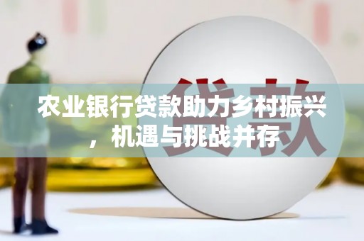 中阳农业银行贷款助力乡村振兴，机遇与挑战并存