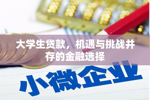 中阳大学生贷款，机遇与挑战并存的金融选择