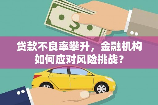 中阳贷款不良率攀升，金融机构如何应对风险挑战？