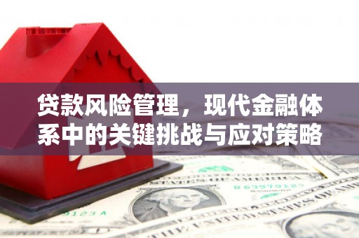 中阳贷款风险管理，现代金融体系中的关键挑战与应对策略