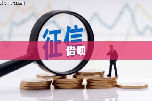 中阳借呗